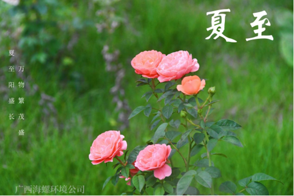夏至｜讓我們和盛夏美景撞個滿懷(1)129