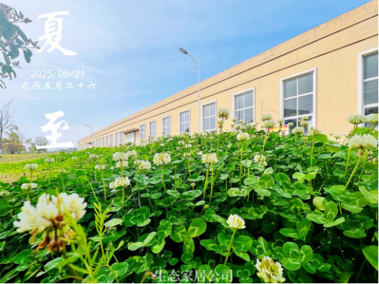 夏至｜讓我們和盛夏美景撞個滿懷(1)133