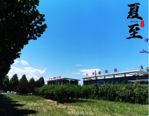 夏至｜讓我們和盛夏美景撞個滿懷(1)140